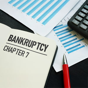 Bankruptcy Chapter 7 documents