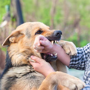 Dog biting man's arm during outdoor incident, personal injury concept
